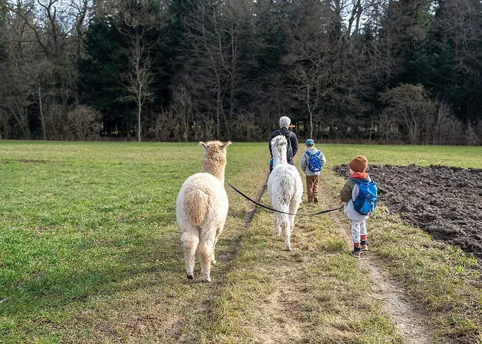 Gruppenunterkunft Mit Billardtisch Und Lamatrekking