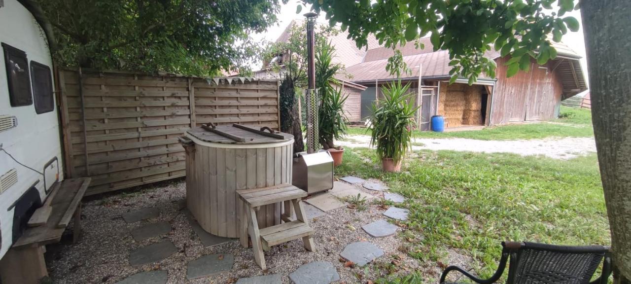 Farm stay Gruppenunterkunft Mit Billardtisch Und Lamatrekking
